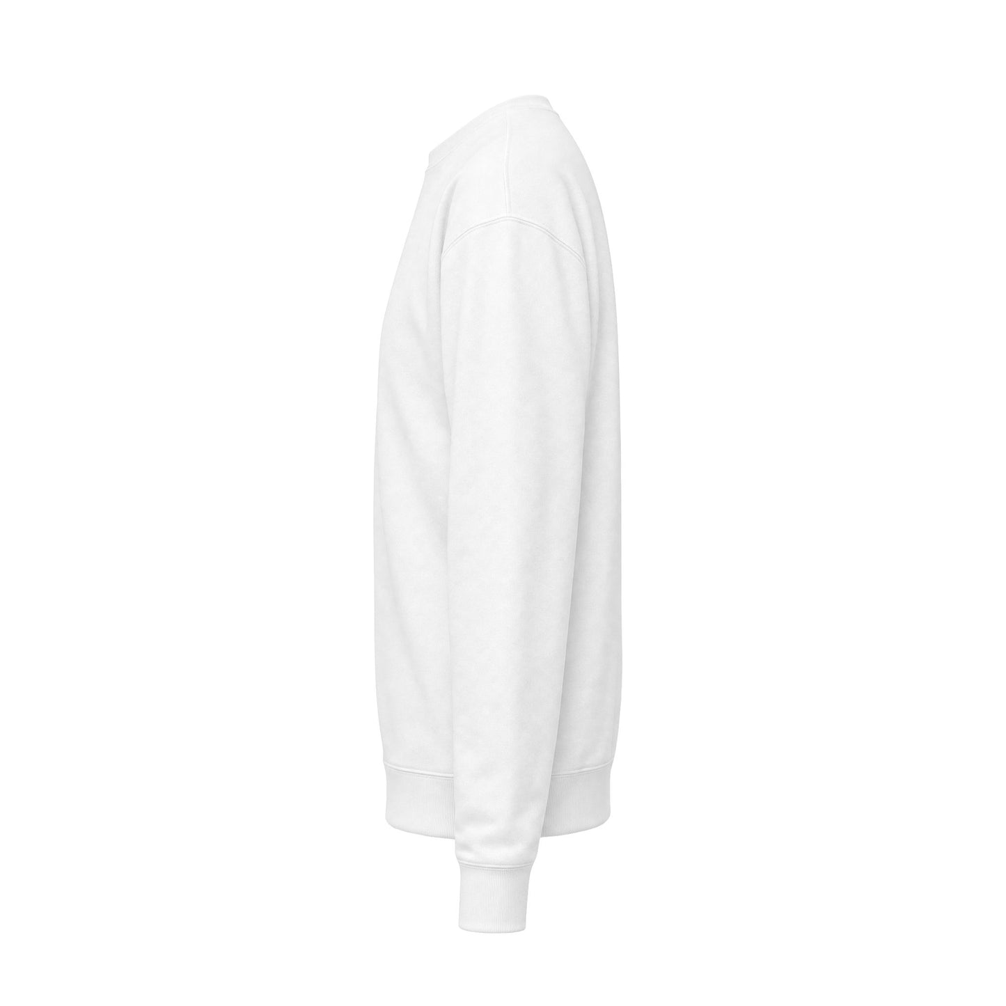 Halloween Cactus Crewneck Sweatshirt — Cute Ghosts & Desert Plants Graphic