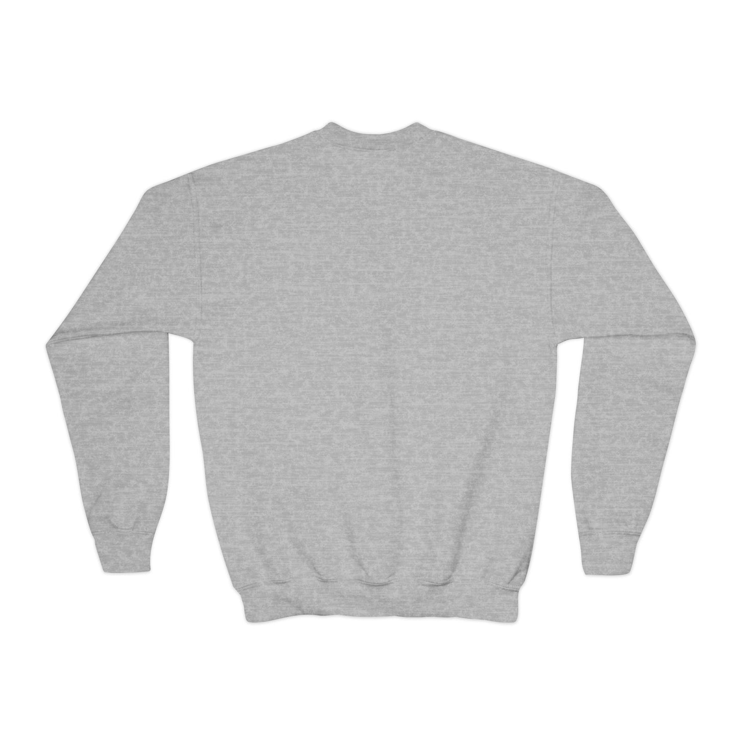 Youth Crewneck Sweatshirt - 'Bruh We Back' Retro Skate Graphic Sweatshirt