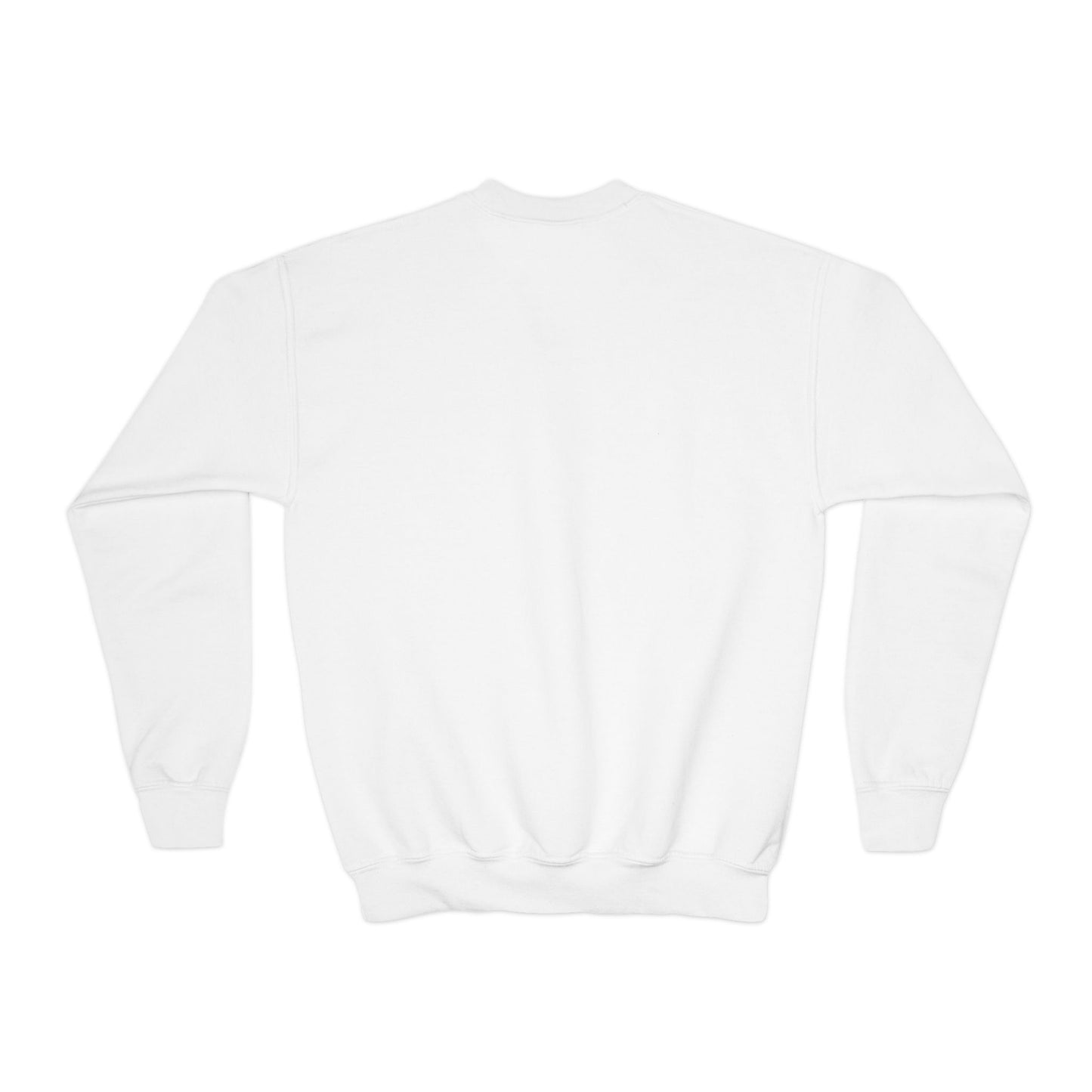 Youth Crewneck Sweatshirt - 'Bruh We Back' Retro Skate Graphic Sweatshirt