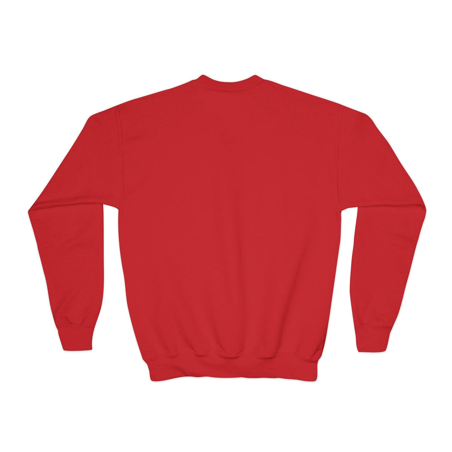 Youth Crewneck Sweatshirt - 'Bruh We Back' Retro Skate Graphic Sweatshirt