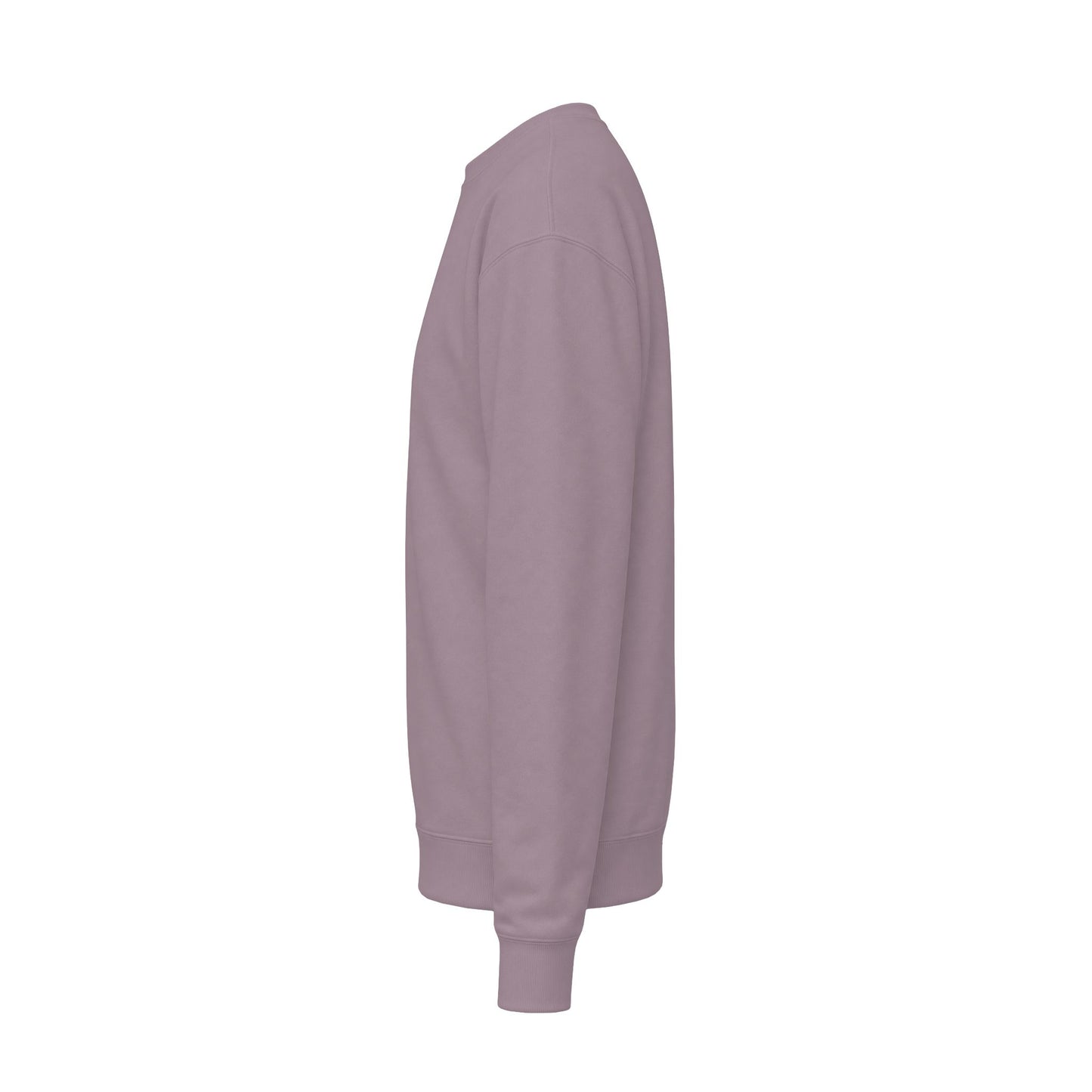 Halloween Cactus Crewneck Sweatshirt — Cute Ghosts & Desert Plants Graphic