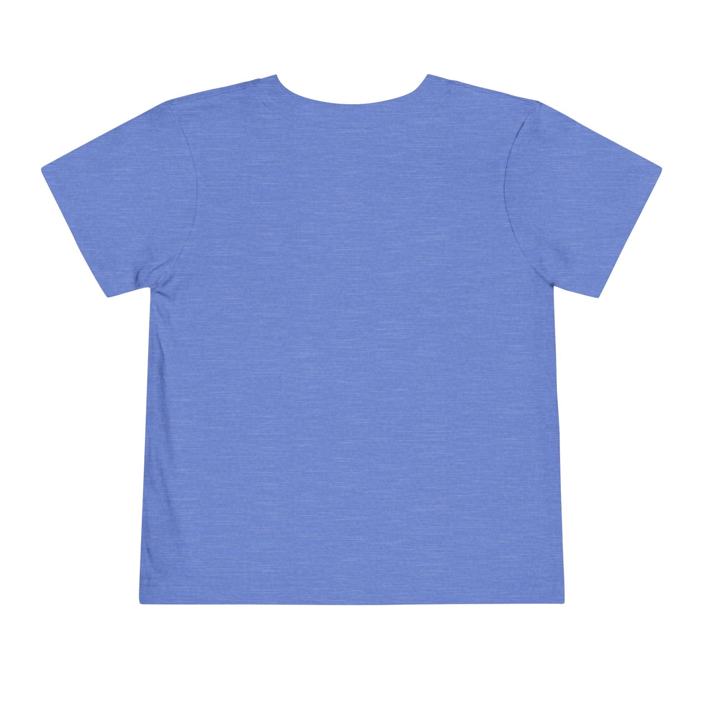 Toddler Tee - "Mostly Sweet Sometimes Sassy" Pink Kids Shirt